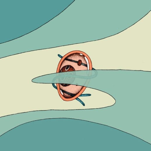 Wildeburg 2020 - Evenementen Info